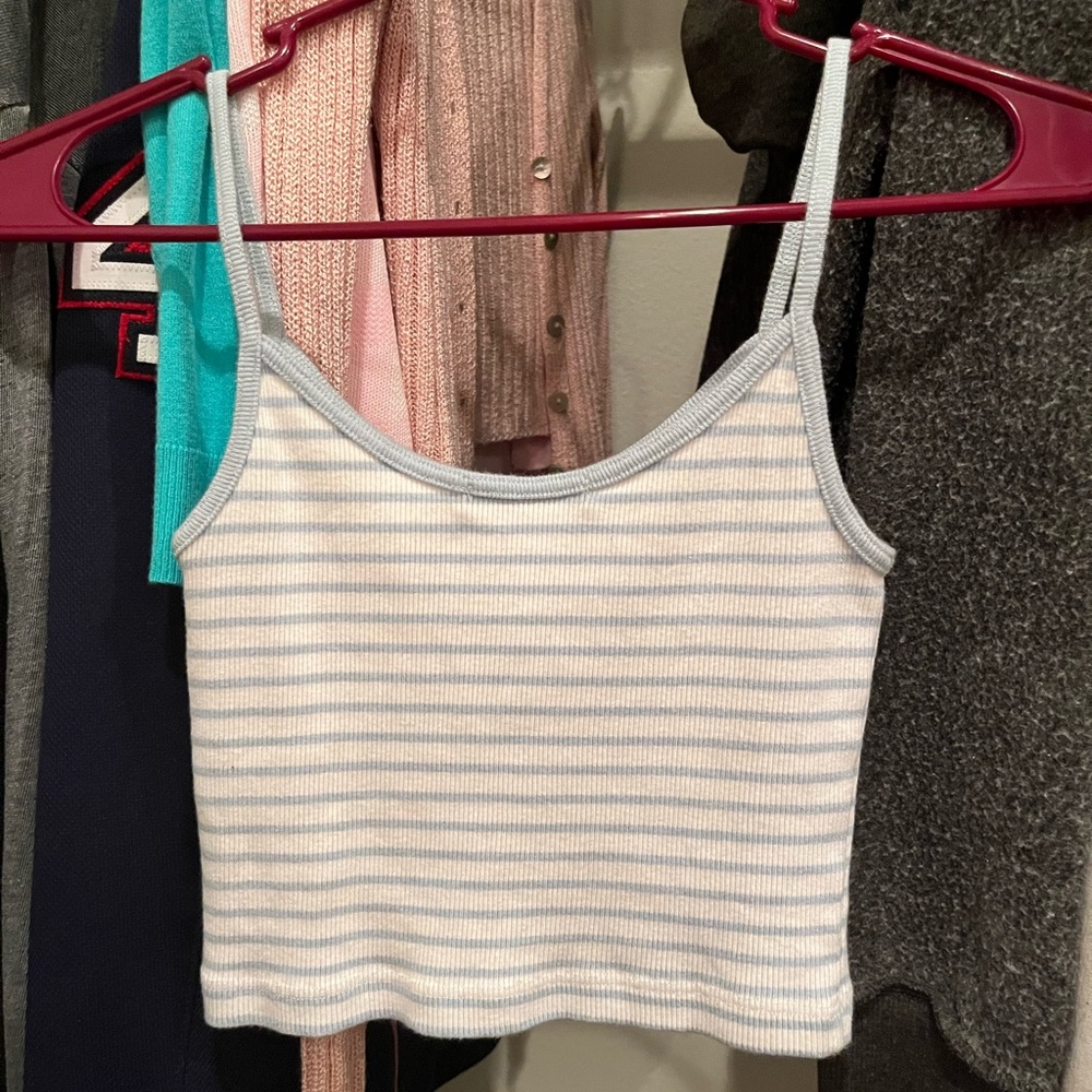 Brandy crop top